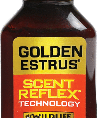Wildlife Research Golden Estrus Scent Reflex Deer Attractant 1 oz Bottle