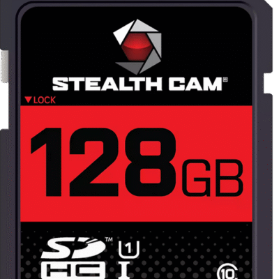 Steal 128GB SD Card